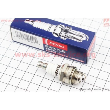 Свеча (бензопила) W22MPR-U