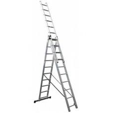 Лестница универсальная Forte СЕ3х10