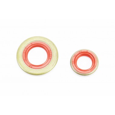 Сальники к-кт 2шт (12x20x5; 15x29,6x4) для бензопилы ST MS-260/360, металл