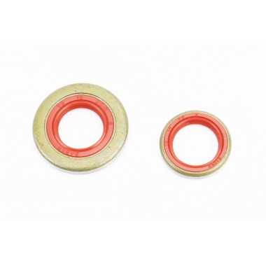 Сальники к-кт 2шт (15x22x4; 15x29,6x4) для бензопилы ST MS-361/362, металл