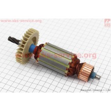 Якорь (Dжелеза=41мм, Lжелеза=50мм, Dколектора=28,3мм, L=174мм, Z=6 наклон зубов вправо) Stern, Powertec