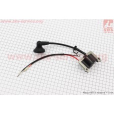 Катушка зажигания 1E36F